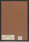 Auliscus biddulphia Kitton. (de-Toni-Nr.: Genus 171, Species 4345) Zeichnungen Sammlung Grunow Mappe 04306 (Herbarium_W_Grunow_drawings_Folder_04306)
